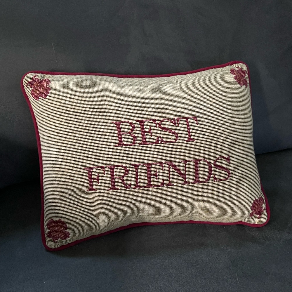 Best friends needlepoint pillow